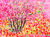 Bild "Tulpenblüte im Frühling" (2021) (Original / Unikat), ungerahmt