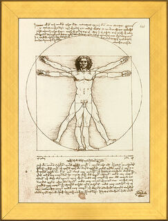 Bild "Proportionsschema der menschlichen Gestalt nach Vitruv", gerahmt von Leonardo da Vinci