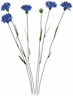 Gartenstecker-Blumenset "Kornblumen", 5-teilig