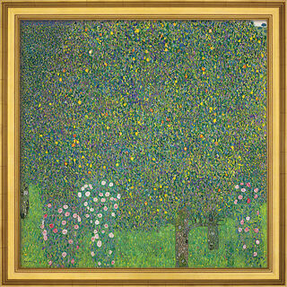 Bild "Rosensträucher unter Bäumen" (1905), gerahmt