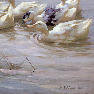 Bild "Enten am Seeufer", auf Keilrahmen von Alexander Koester